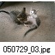 050729_03.jpg[640�~480]