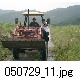 050729_11.jpg[640�~480]