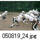 050819_24.jpg[640�~480]