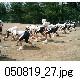 050819_27.jpg[640�~480]