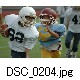 DSC_0204.jpg[640�~425]