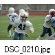 DSC_0210.jpg[640�~425]