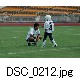 DSC_0212.jpg[640�~425]