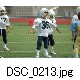 DSC_0213.jpg[640�~425]