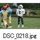 DSC_0218.jpg[640�~425]