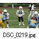 DSC_0219.jpg[640�~425]