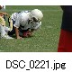 DSC_0221.jpg[640�~425]