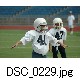 DSC_0229.jpg[640�~425]