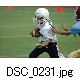 DSC_0231.jpg[640�~425]