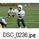 DSC_0236.jpg[640�~425]