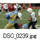 DSC_0239.jpg[640�~425]
