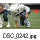 DSC_0242.jpg[640�~425]