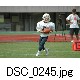 DSC_0245.jpg[640�~425]