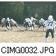 CIMG0032.JPG[640�~480]