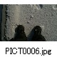 PICT0006.jpg[632�~419]