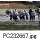 PC232667.jpg[640�~480]