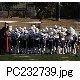PC232739.jpg[640�~480]