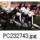 PC232743.jpg[640�~479]