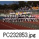 PC232853.jpg[640�~480]