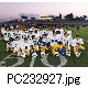 PC232927.jpg[640�~480]