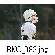 BKC_082.jpg[624�~416]