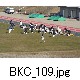 BKC_109.jpg[624�~416]