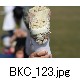 BKC_123.jpg[624�~416]