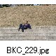 BKC_229.jpg[624�~416]