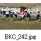 BKC_242.jpg[624�~416]