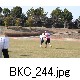 BKC_244.jpg[624�~416]