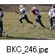 BKC_246.jpg[624�~416]