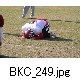 BKC_249.jpg[624�~416]
